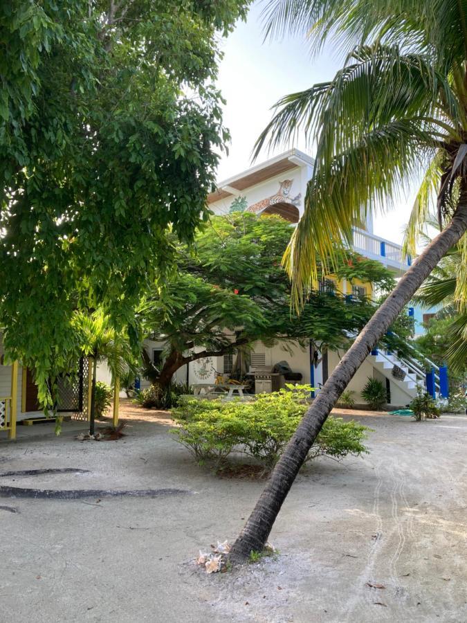 Jaguar Morning Star Hotel Caye Caulker Exterior foto